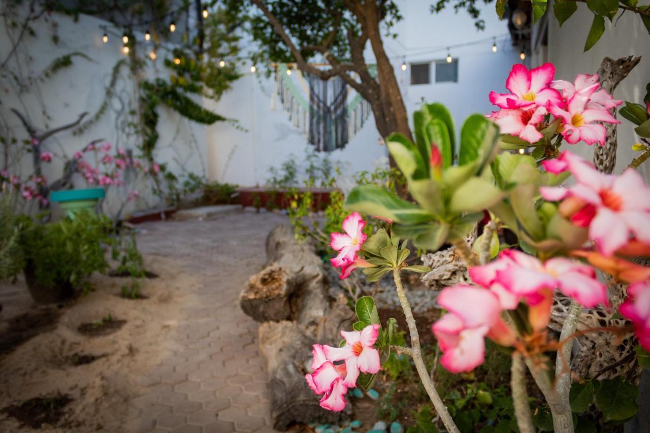 Adventure Inn La Paz Ngoại thất bức ảnh